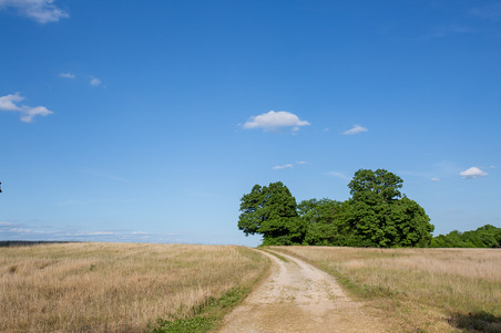 2961 Burks Branch Rd