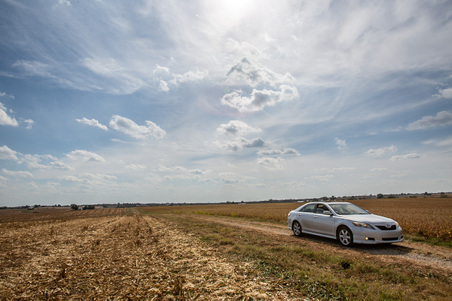3118 Mulberry Pike -Elysian Fields Grain
