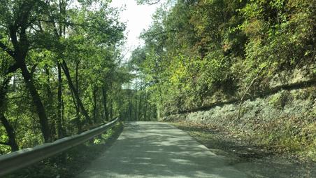 8 Mile Creek rd, Westport