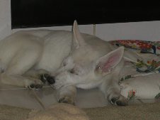 Enlarge photo 3