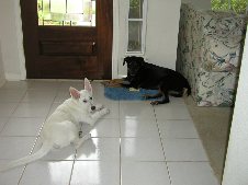 Enlarge photo 2