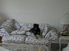 Enlarge photo 4