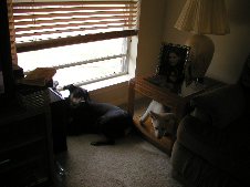 Enlarge photo 21
