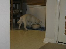 Enlarge photo 29