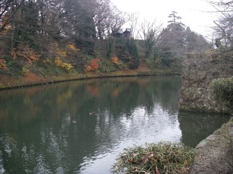 Enlarge photo 7