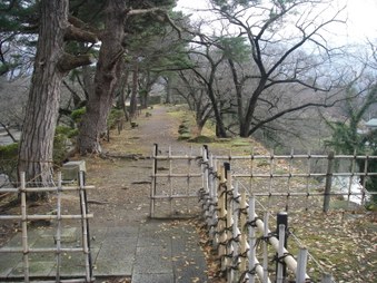 Enlarge photo 17
