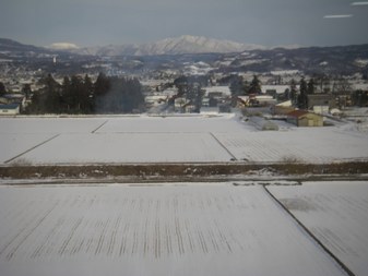 Enlarge photo 46