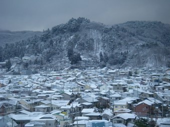 Enlarge photo 51