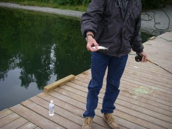 Enlarge photo 3