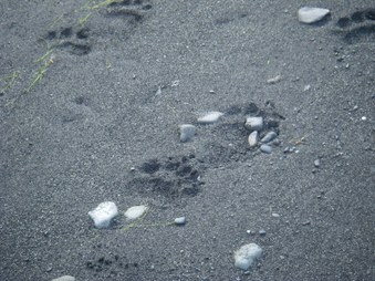 Enlarge photo 39