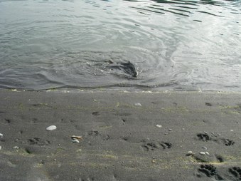 Enlarge photo 42