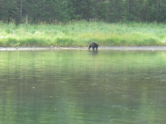 Enlarge photo 47