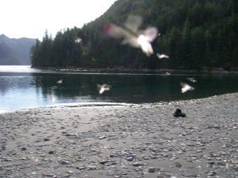 Enlarge photo 48