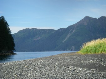 Enlarge photo 49
