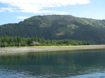 Enlarge photo 50