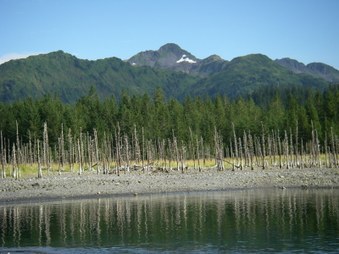 Enlarge photo 51