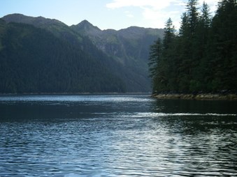 Enlarge photo 59