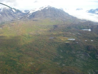 Enlarge photo 68