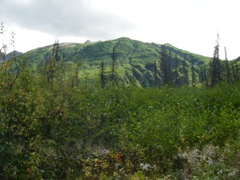Enlarge photo 77