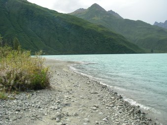 Enlarge photo 79