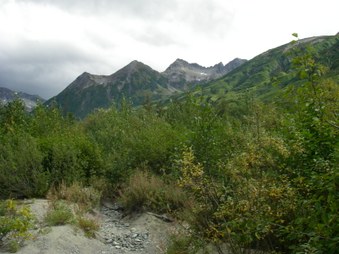 Enlarge photo 80