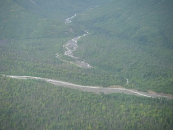 Enlarge photo 83