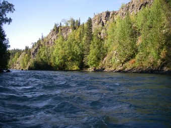Enlarge photo 102