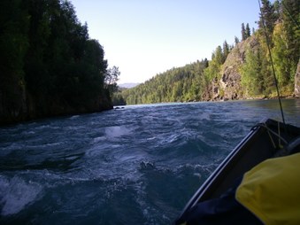 Enlarge photo 103