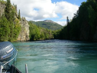 Enlarge photo 105