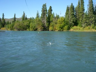 Enlarge photo 109