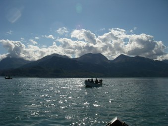 Enlarge photo 118