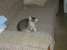 Enlarge photo 4