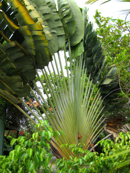 Belize 2010