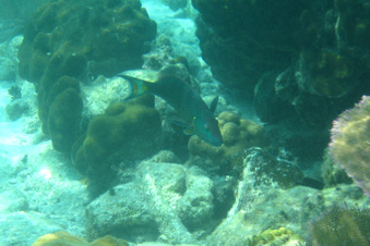 Enlarge photo 16