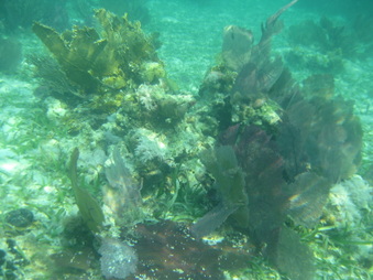 Enlarge photo 23