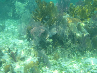 Enlarge photo 24