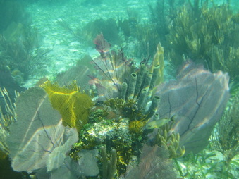 Enlarge photo 25