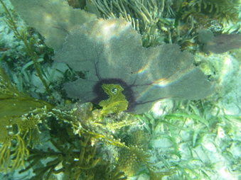 Enlarge photo 26