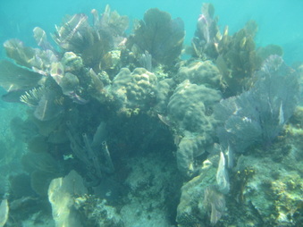 Enlarge photo 28