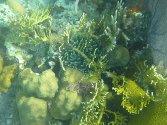 Enlarge photo 31