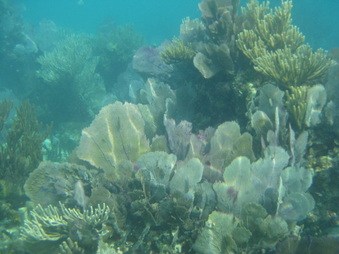 Enlarge photo 32