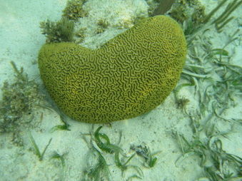 Enlarge photo 38