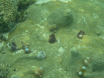 Enlarge photo 39