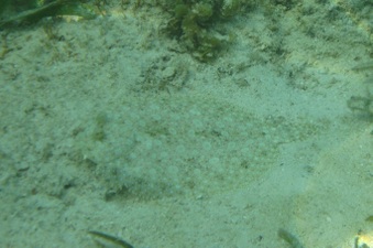 Enlarge photo 40