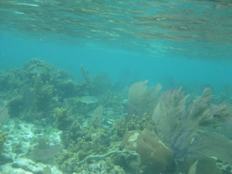 Enlarge photo 42