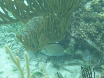 Enlarge photo 48