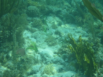 Enlarge photo 49