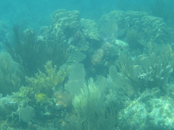 Enlarge photo 52