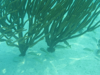 Enlarge photo 53