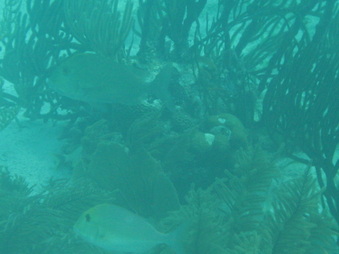 Enlarge photo 57
